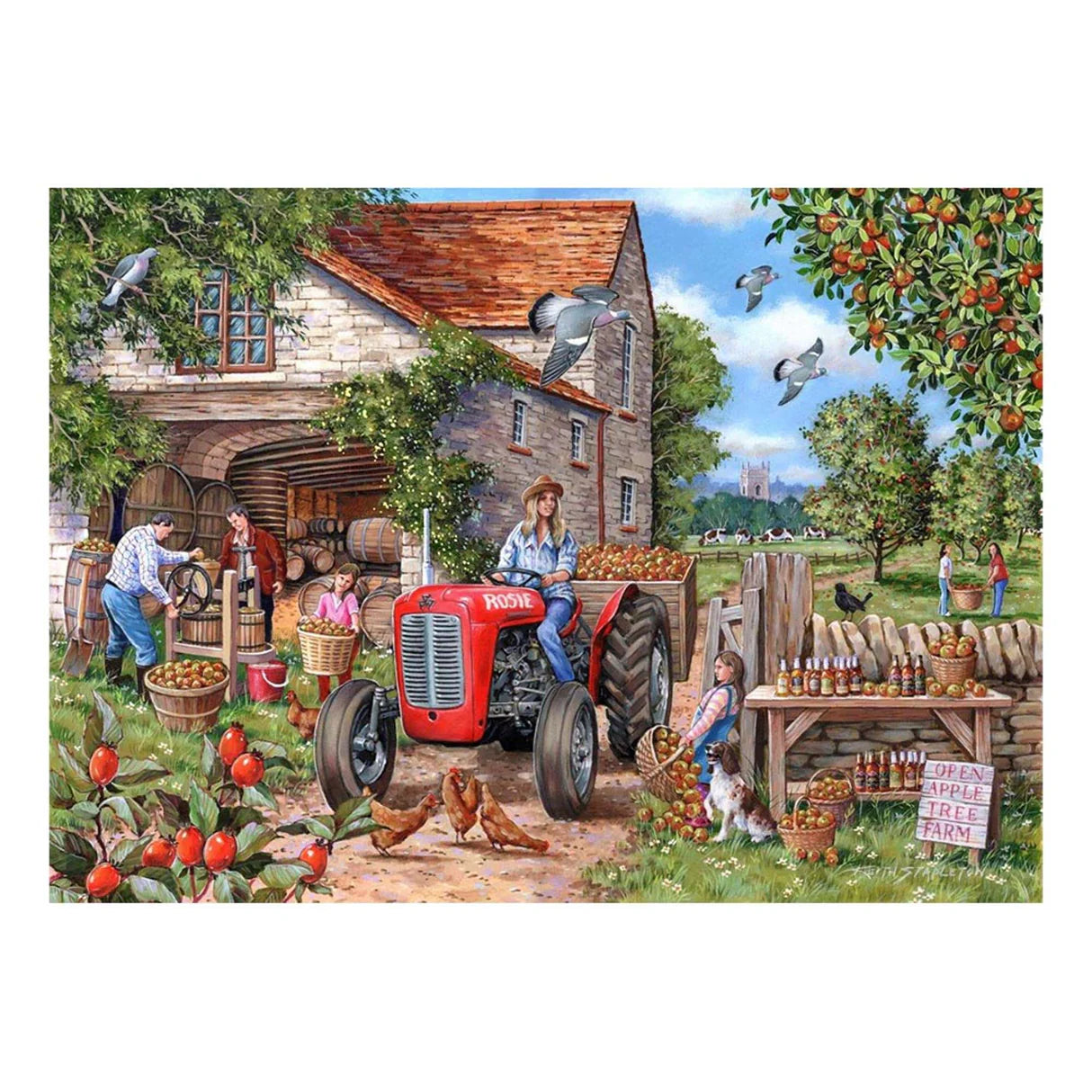 HOP BIG 500 - Cider & Rosie
